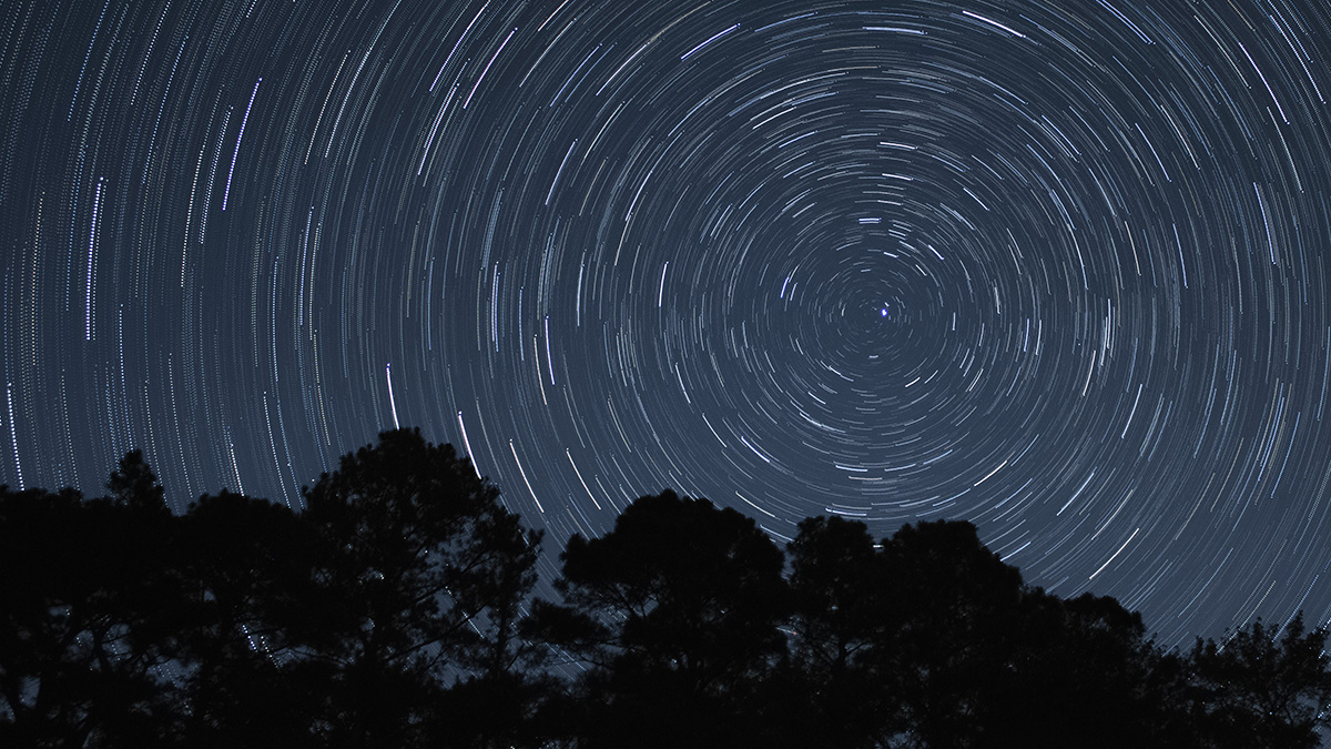Trap Pond State Park Star Trail