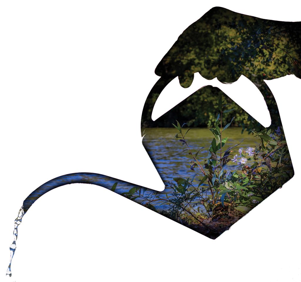Watering Can Multiexposure