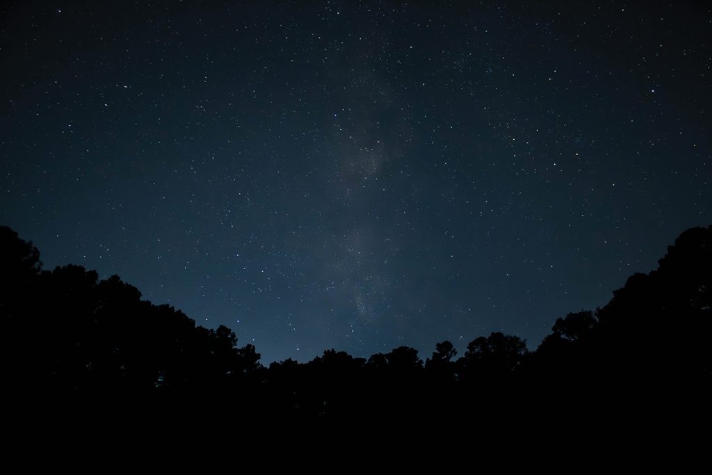 Astrophotography Milkyway core in Delaware Trap Pond State Park