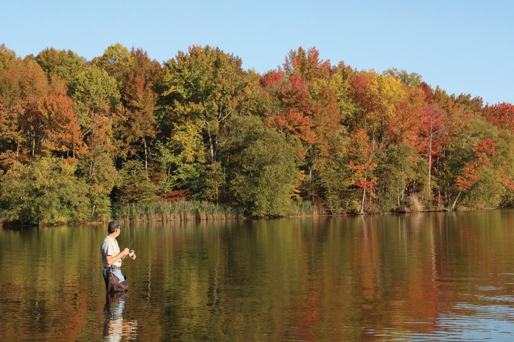 Man Fishing Lums Pond State Park